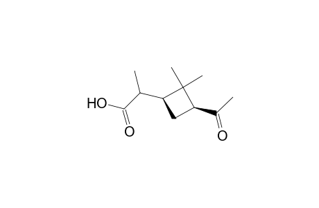 Cyclobutaneacetic acid, 3-acetyl-2,2-dimethyl-, methyl ester, (1S-cis)-