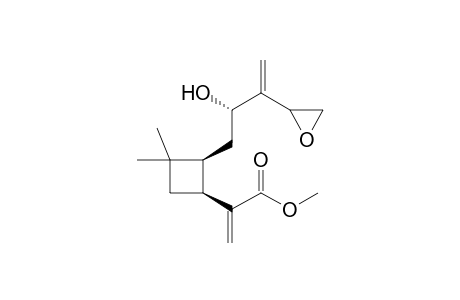 2-[(1S,2S)-2-[(2S)-2-hydroxy-3-(2-oxiranyl)but-3-enyl]-3,3-dimethylcyclobutyl]-2-propenoic acid methyl ester