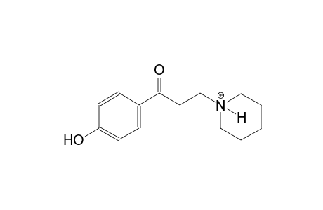 1-[3-(4-hydroxyphenyl)-3-oxopropyl]piperidinium