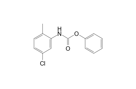 5-chloro-2-methylcarbanilic acid, phenyl ester