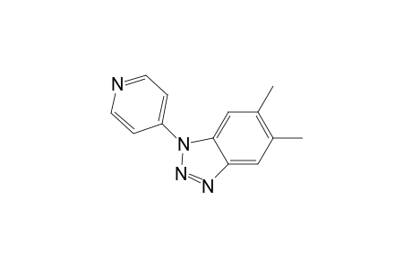 5,6-Dimethyl-1-pyridin-4-yl-1H-benzotriazole hydrochloride