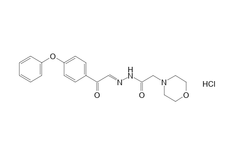 4-morpholineacetic acid, p-phenoxyphenacylidenehydrazide, hydrochloride