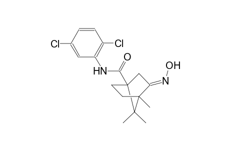 (3E)-N-(2,5-dichlorophenyl)-3-(hydroxyimino)-4,7,7-trimethylbicyclo[2.2.1]heptane-1-carboxamide