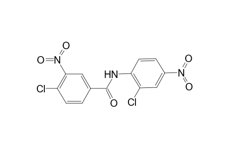 4-Chloro-N-(2-chloro-4-nitrophenyl)-3-nitrobenzamide