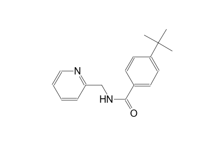 benzamide, 4-(1,1-dimethylethyl)-N-(2-pyridinylmethyl)-