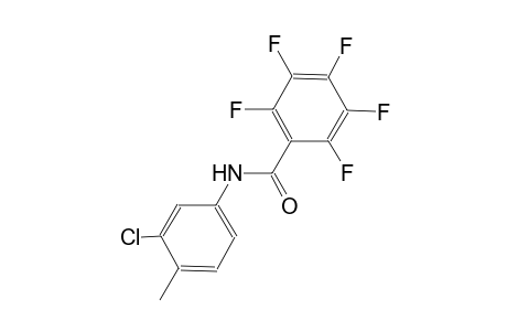 N-(3-chloro-4-methylphenyl)-2,3,4,5,6-pentafluorobenzamide