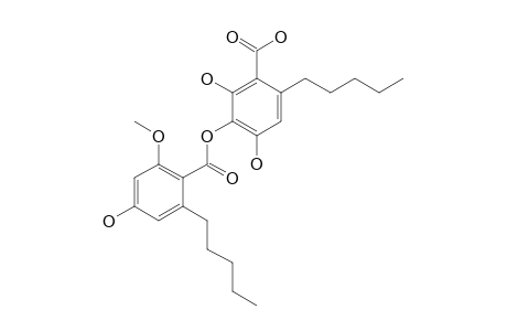 CRYPTOCHLOROPHAEIC-ACID