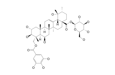 QUADRANOSIDE-IX;23-O-GALLOYL-2-ALPHA,3-BETA,6-BETA,19-ALPHA-TETRAHYDROXY-URS-12-EN-28-OIC-ACID-28-O-BETA-D-GLUCOPYRANOSIDE