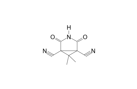 6,6-dimethyl-2,4-dioxo-3-azabicyclo[3.1.0]hexane-1,5-dicarbonitrile