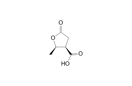 cis-5-Oxo-2-methyl-tetrahydrofuran-3-carboxylic Acid