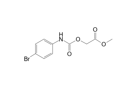 2-[(4-bromoanilino)-oxomethoxy]acetic acid methyl ester