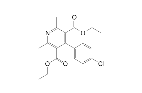 4-(4-Chlorophenyl)-2,6-dimethyl-pyridine-3,5-dicarboxylic acid diethyl ester