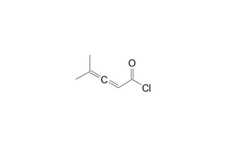 4-Methylpenta-2,3-dienoyl chloride