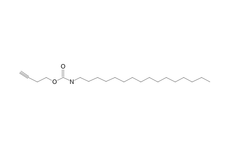 Carbonic acid, monoamide, N-hexadecyl-, but-3-yn-1-yl ester