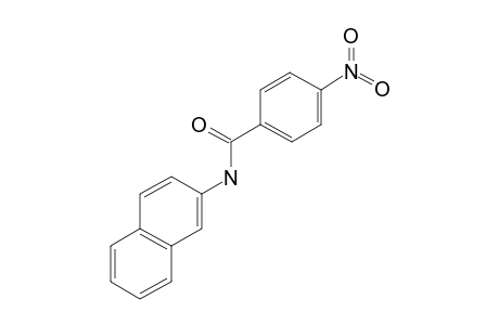 N-(2-Naphthyl)-4-nitrobenzamide