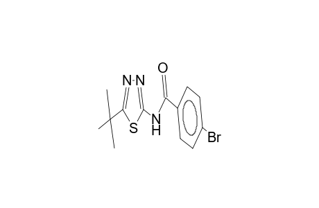 N-(5-tert-butyl-1,3,4-thiadiazol-2-yl)-4-bromobenzamide