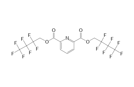 2,6-Pyridinedicarboxylic acid, di(2,2,3,3,4,4,4-heptafluorobutyl) ester