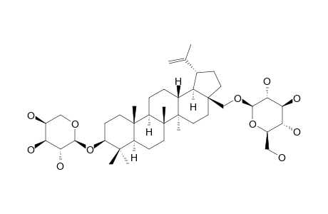 28-O-BETA-D-GLUCOPYRANOSYLBETULIN_3-BETA-O-ALPHA-L-ARABINOPYRANOSIDE