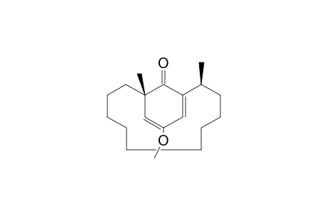 (1S,11S)-14-methoxy-1,11-dimethylbicyclo[10.3.1]hexadeca-12,14-dien-16-one