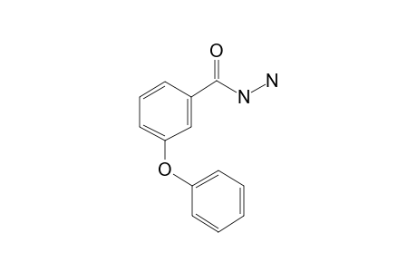 3-Phenoxybenzhydrazide