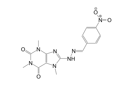 1,3,7-trimethyl-8-[(2E)-2-[(4-nitrophenyl)methylene]hydrazino]purine-2,6-dione