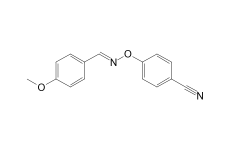 N-(p-Cyanophenoxy)-[(4'-methoxyphenyl)metyl]-imine
