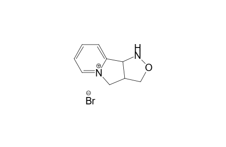 3,3a,4,9b-Tetrahydro-1H-isoxazol[3,4-a]indolizinium Bromide