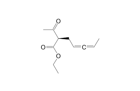 4,5-Heptadienoic acid, 2-acetyl-, ethyl ester, (R*,S*)-