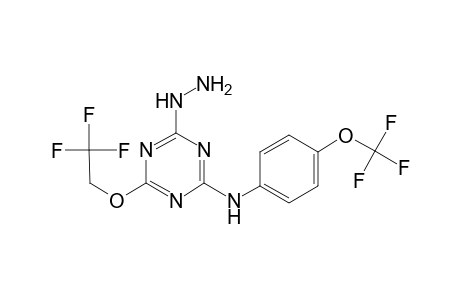 4-Hydrazino-6-(2,2,2-trifluoroethoxy)-N-[4-(trifluoromethoxy)phenyl]-1,3,5-triazin-2-amine