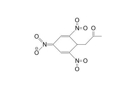 2,4,6-Trinitrophenylacetone-meisenheimer anion