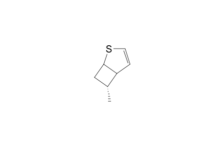 ENDO-6-METHYL-2-THIABICYCLO-[3.2.0]-HEPT-3-EN