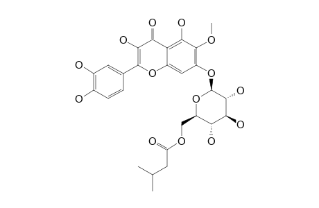 PATULETIN-7-O-(6''-ISOVALERYL)-GLUCOSIDE