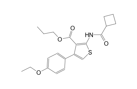 propyl 2-[(cyclobutylcarbonyl)amino]-4-(4-ethoxyphenyl)-3-thiophenecarboxylate
