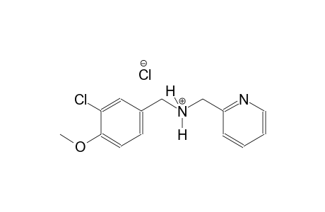 2-pyridinemethanaminium, N-[(3-chloro-4-methoxyphenyl)methyl]-, chloride