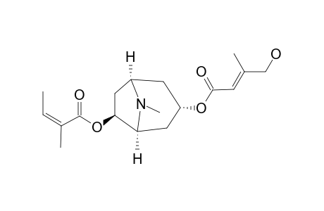 SCHIZANTHINE_N;3-ALPHA-4-HYDROXYSENECIOYLOXY-6-BETA-ANGELOYLOXYTROPANE