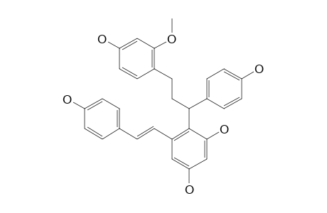 COCHINCHINENENE_D;1-[2-(3,4',5-TRIHYDROXYSTILBENYL)]-1-(4-HYDROXYPHENYL)-3-(2-METHOXY-4-HYDROXYPHENYL)-PROPANE