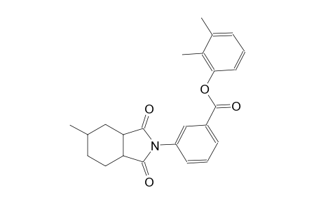 benzoic acid, 3-(octahydro-5-methyl-1,3-dioxo-2H-isoindol-2-yl)-, 2,3-dimethylphenyl ester