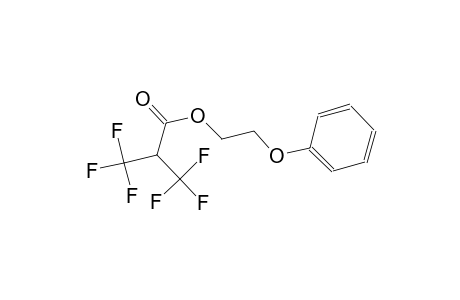 2-phenoxyethyl 3,3,3-trifluoro-2-(trifluoromethyl)propanoate