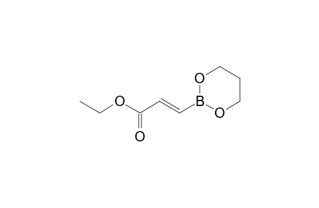[2'-(Ethoxycarbonyl)-1'-ethenyl]-propanoboronate