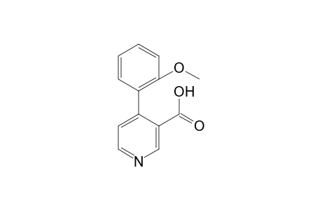 4-(2'-Methoxyphenyl)-3-nicotinic acid