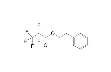 Pentafluoropropionic acid, 2-phenylethyl ester