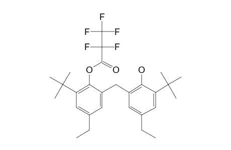 2,2'-Methylenebis-(6-tert-butyl)-4-ethylphenol, o-pentafluoropropionyl-