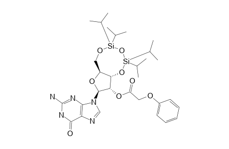 2'-O-PHENOXYACETYL-3',5'-(TETRAISOPROPYLDISILOXANE-1,3-DIYL)-GUANOSINE