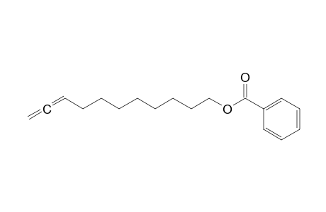 Undeca-9,10-dien-1-yl benzoate