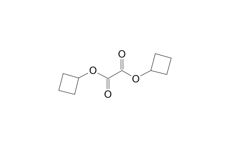 Oxalic acid, dicyclobutyl ester