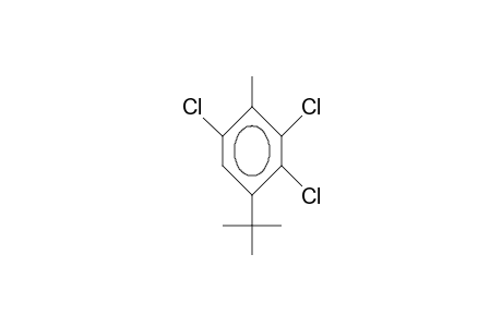 2,3,6-Trichloro-4-tert-butyl-toluene