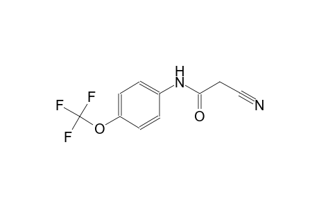 2-cyano-N-[4-(trifluoromethoxy)phenyl]acetamide
