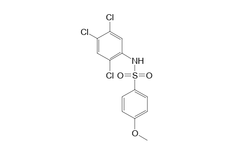 Benzenesulfonamide, 4-methoxy-N-(2,4,5-trichlorophenyl)-