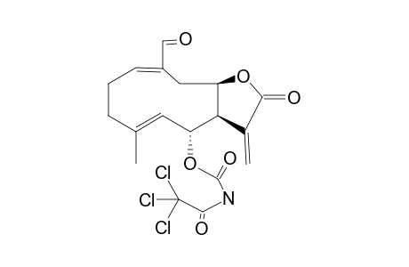 SCHKUHRIOLIDE+TAI