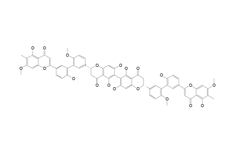 TAIWANHOMOFLAVONE_C;DI-(5,7,4'''-TRIHYDROXY-2,3-DIHYDRO-4',7''-DIMETHOXY-6''-METHYL-3',3'''-BIFLAVONYL)-6,6-TETRAFLAVONE